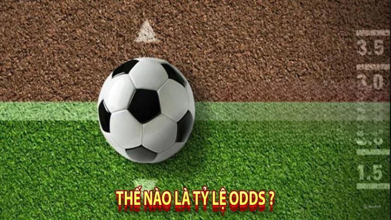 Tổng quan về cách xem Odds và Fix